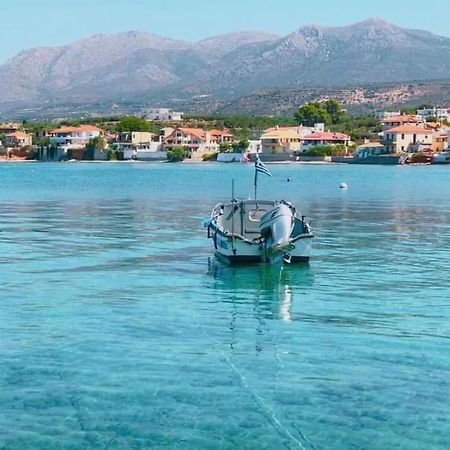 Κατοικία 80 Τ.Μ. Δίπλα Από Την Θάλασσα Στην Ελιά. Elia  Екстериор снимка